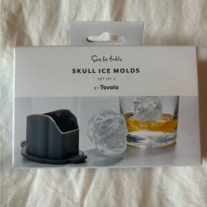 Sur La Table Ice Cube Mold